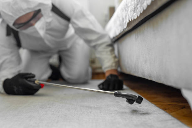 Professional Termite Control technician working in Rusk County County, WI